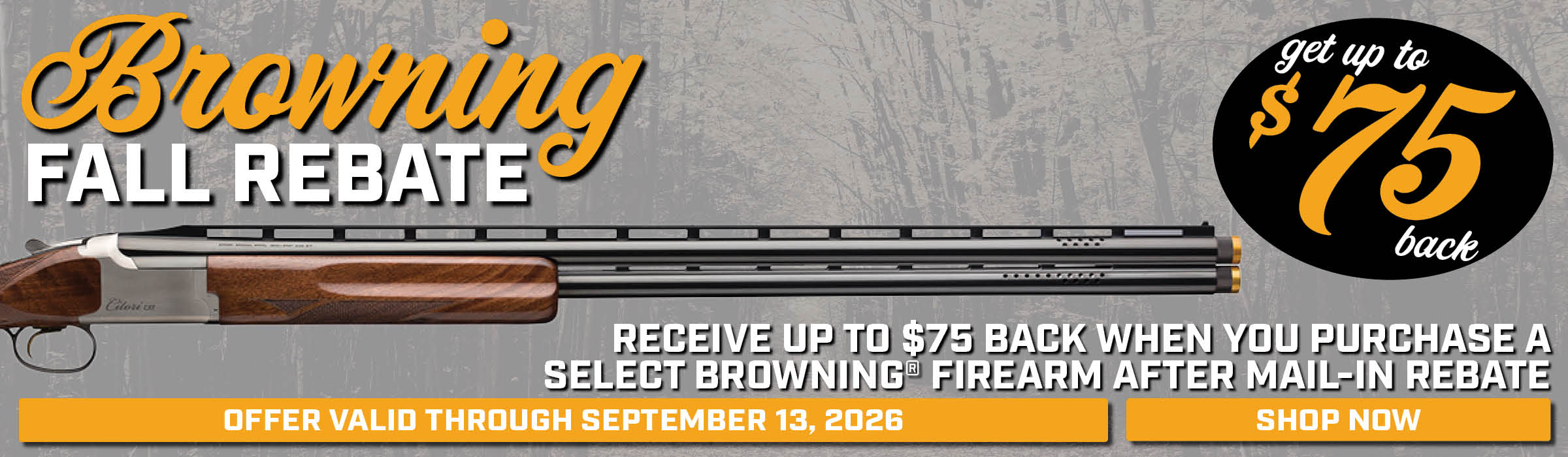 Browning Summer Rebate